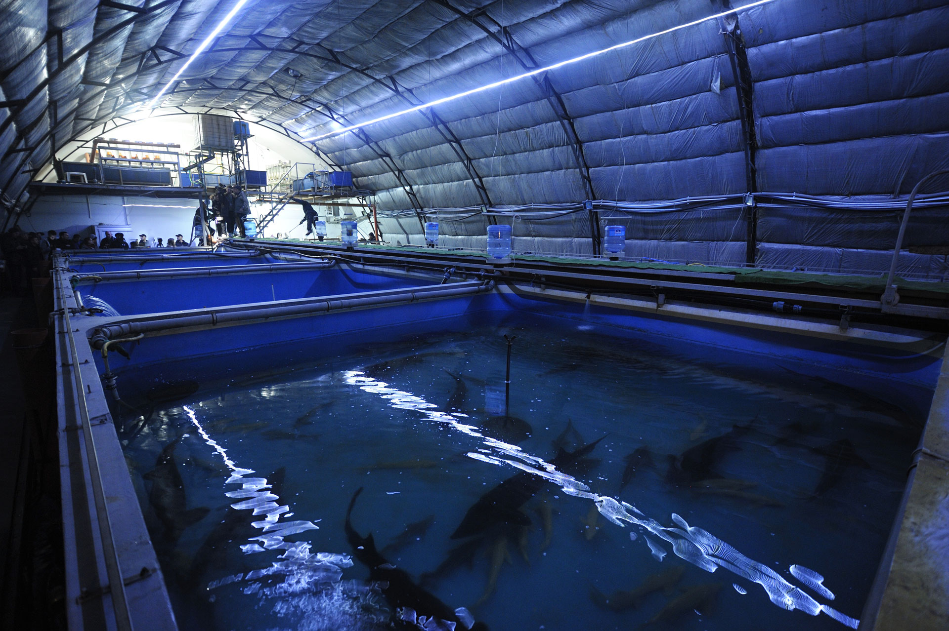 Aquaculture - salt and fresh water solutions